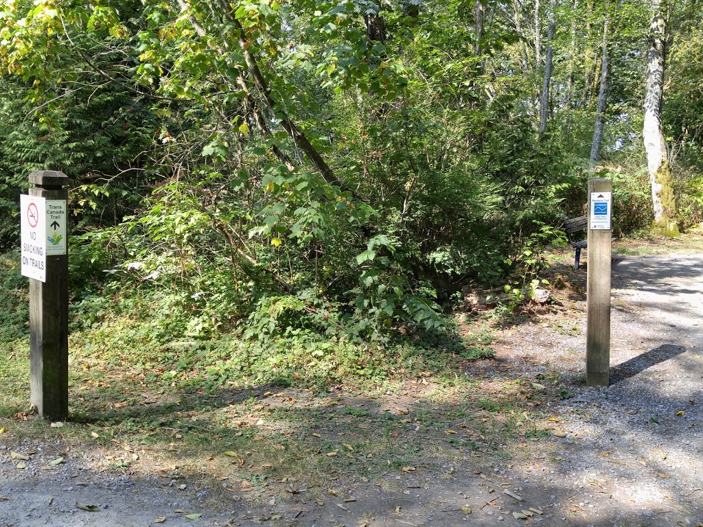 Burnaby Mountain walking path | Burnaby, BC V5A 2X9, Canada