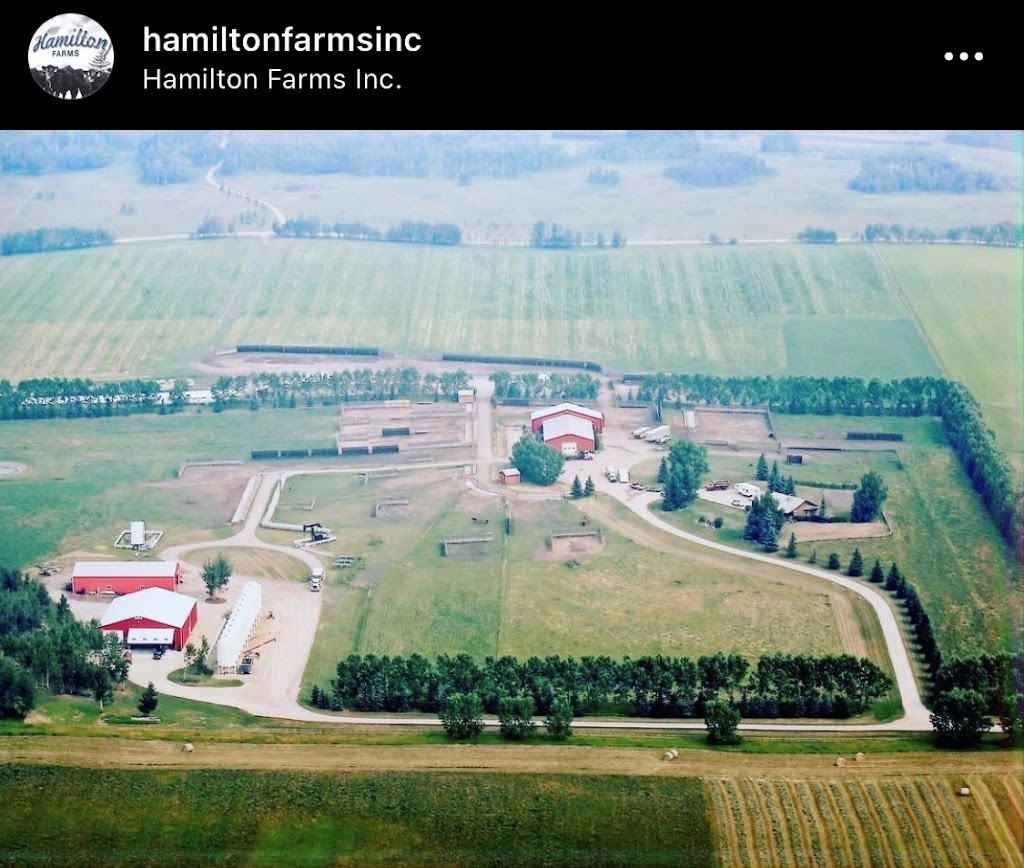 Hamilton Farms Inc | 274132 Range Rd 33, Rockyview County, AB T0M 1L0, Canada | Phone: (403) 932-5980