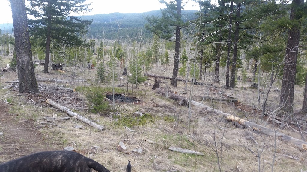 Cross Sabers Paintball | 112 Hillcrest Rd, Logan Lake, BC V0K 1W0, Canada | Phone: (250) 523-9020