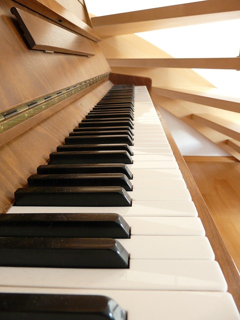 Tim Saunders- Piano Tuning | 7 Stairs St, Dartmouth, NS B3A 3E8, Canada | Phone: (902) 405-5177