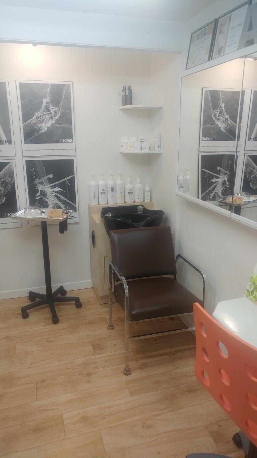 Clinique Capillaire Jeannot Larocque | 511 Rue Mercure, Mont-Tremblant, QC J8E 3H6, Canada | Phone: (819) 425-0939