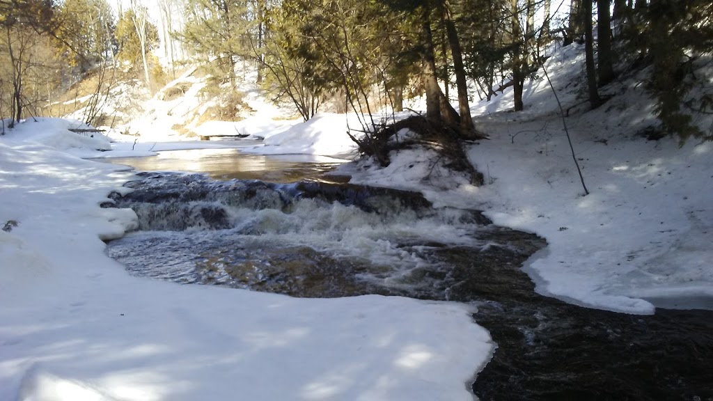 Old Chelsea Picnic Area | 15 Chemin Kingsmere, Chelsea, QC J9B 1G8, Canada | Phone: (613) 239-5678