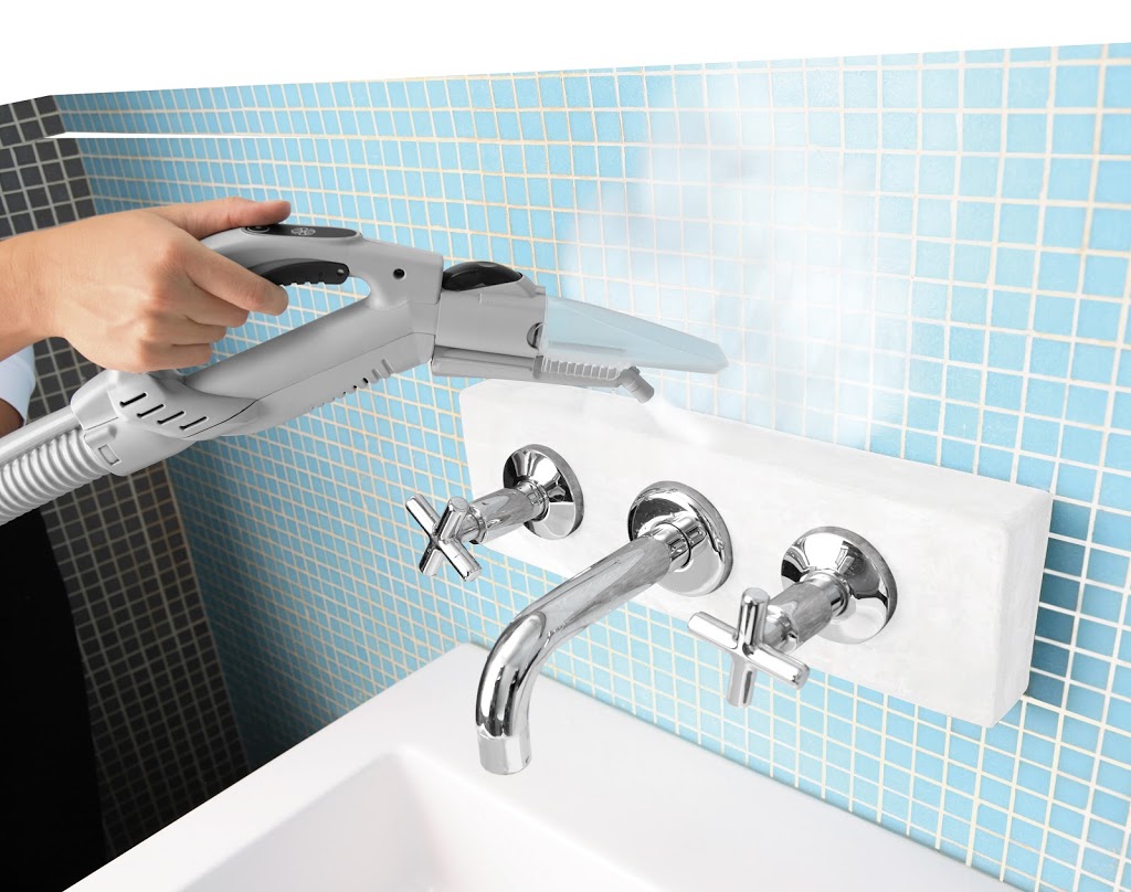 True Solutions Cleaning | 6923 Glory Ct, Mississauga, ON L5N 7E1, Canada | Phone: (647) 982-7765