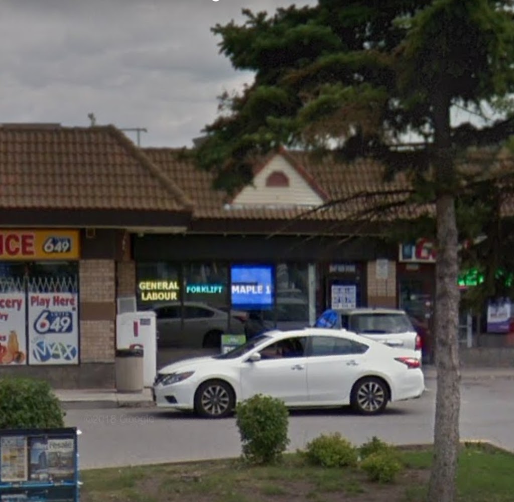 Maple 1 Staffing Inc | 499 Ray Lawson Blvd unit 30, Brampton, ON L6Y 5B3, Canada | Phone: (905) 913-2235