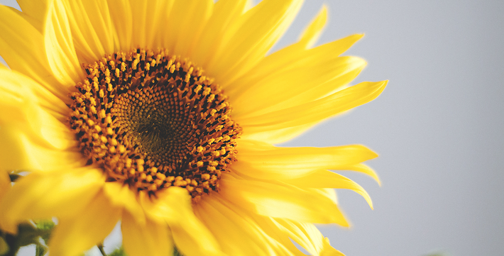 Markham Dental Smiles | 4630 Hwy 7 #2, Unionville, ON L3R 1M5, Canada | Phone: (905) 477-6453