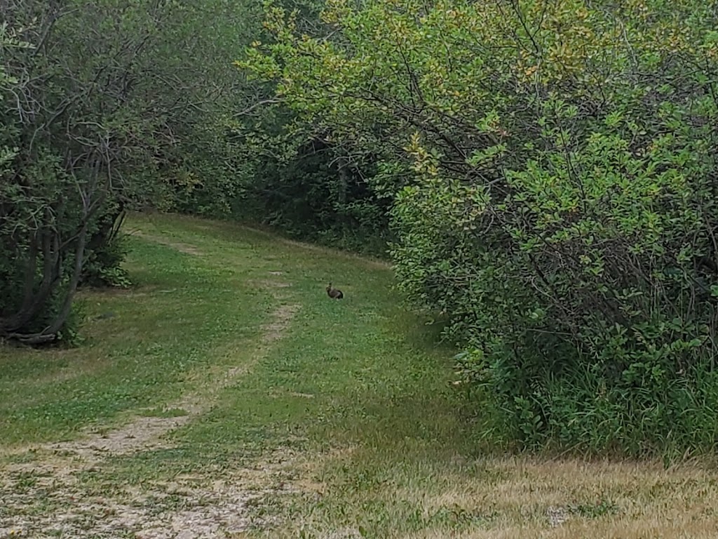 Manitou & District Regional Park Campground | Manitou Beach, Watrous, SK S0K 4T0, Canada | Phone: (306) 946-2588