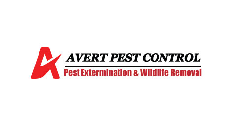 Avert Pest Control | 35 Prouse Dr, Brampton, ON L6V 3A3, Canada | Phone: (647) 898-2430