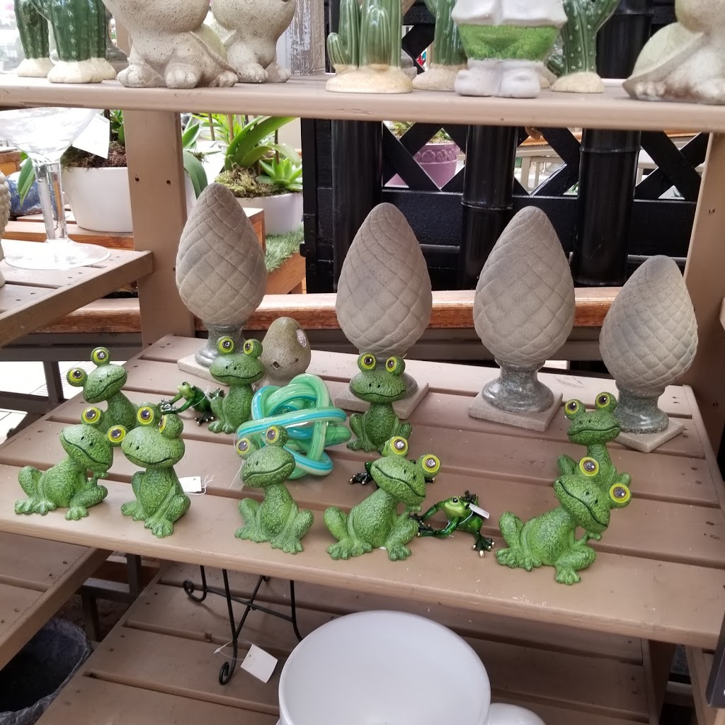99 Nursery & Florist Inc | 9376 King George Blvd, Surrey, BC V3V 5W3, Canada | Phone: (604) 584-6555