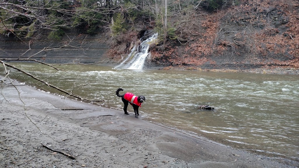 West Falls JP Nicely Park | 525 W Falls Rd, West Falls, NY 14170, USA
