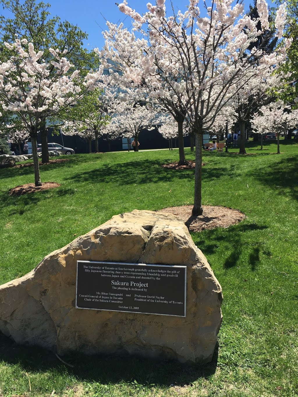 The Sakura Grove | 1265 Miitary Trail, Scarborough, ON M1C 1A4, Canada