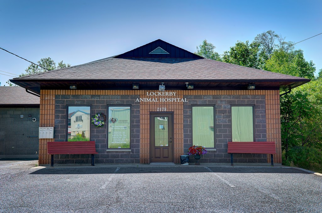 Lockerby Animal Hospital | 2178 Armstrong St, Sudbury, ON P3E 5G9, Canada | Phone: (705) 522-4555