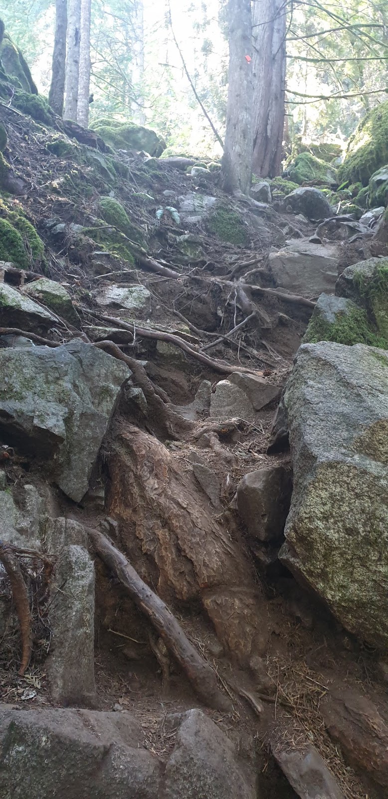 Crooked Falls | Squamish-Lillooet D, BC V0N, Canada