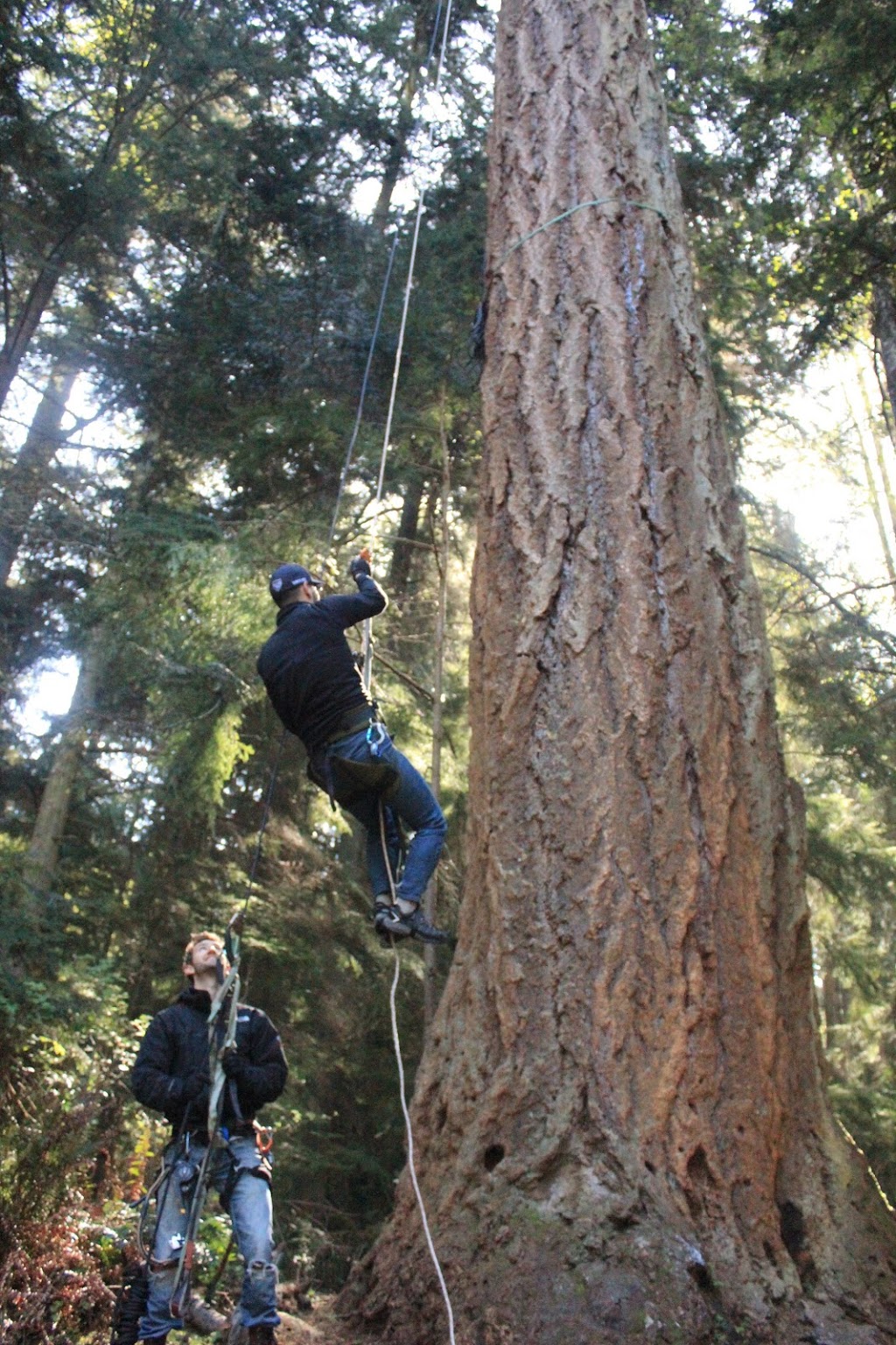 AdventureTerra LLC | 41020 WA-20, Oak Harbor, WA 98277, USA | Phone: (206) 914-8613