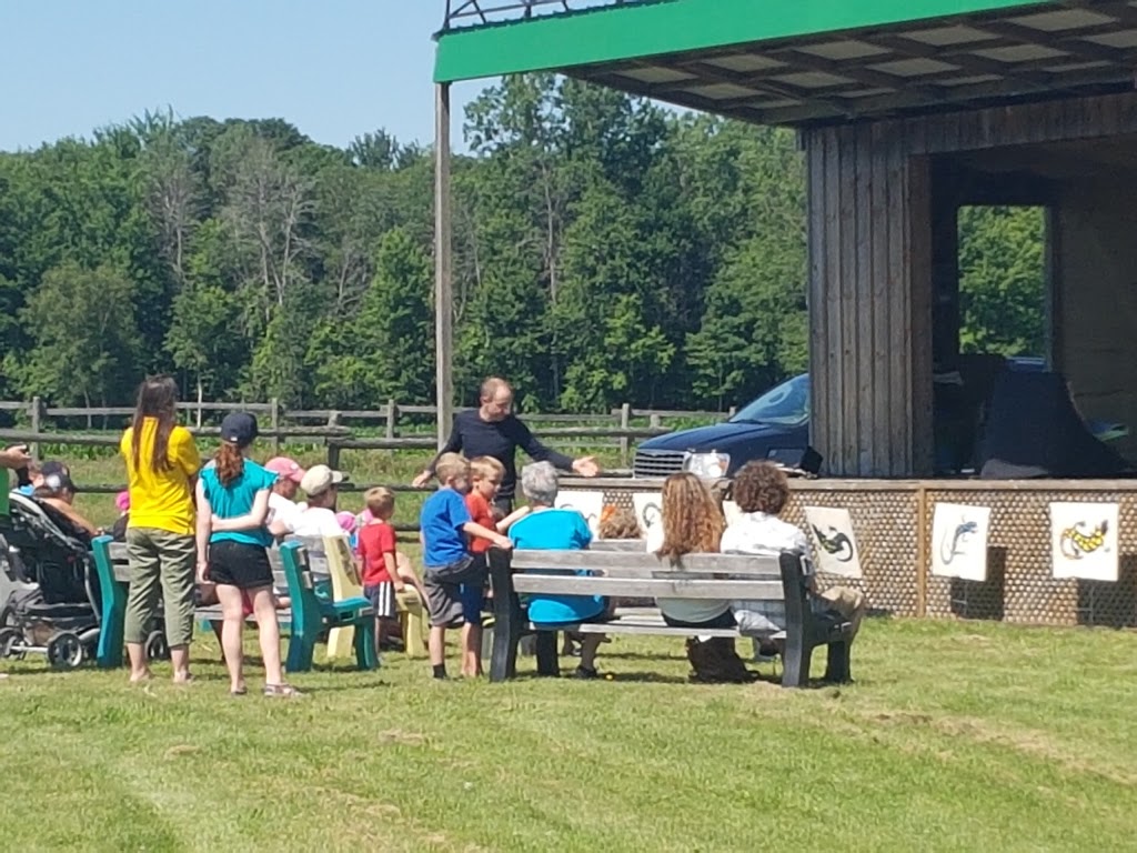 Wagon Wheel Produce & Corn Maze | 1371 Charlotteville Rd 7, Simcoe, ON N3Y 4K5, Canada | Phone: (519) 429-3443