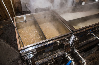 E & M Maple Products | 347020 4th Concession B RR1, Maxwell, ON N0C 1J0, Canada | Phone: (519) 477-2828