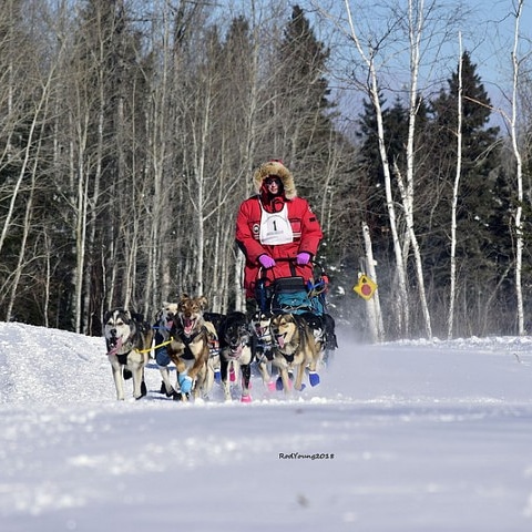 Canadian Challenge Dog Sled Race | National Park, 1105 Central Ave, Prince Albert, SK S6V 4V7, Canada | Phone: (306) 763-1539