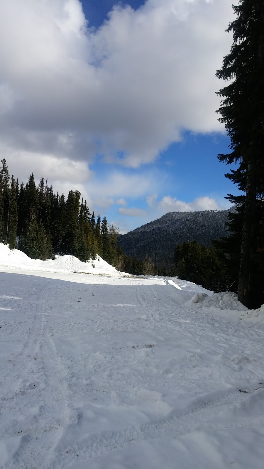 Hot Springs RV and Camping Park | 272 Lillooet Rd, Harrison Hot Springs, BC V0M 1K0, Canada | Phone: (604) 796-3467