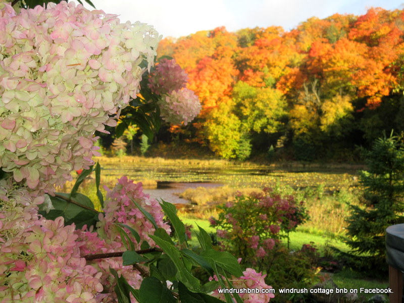Windrush Bed and Breakfast and Holiday home. | 1784 ON-60, Huntsville, ON P1H 1A3, Canada | Phone: (705) 789-9209