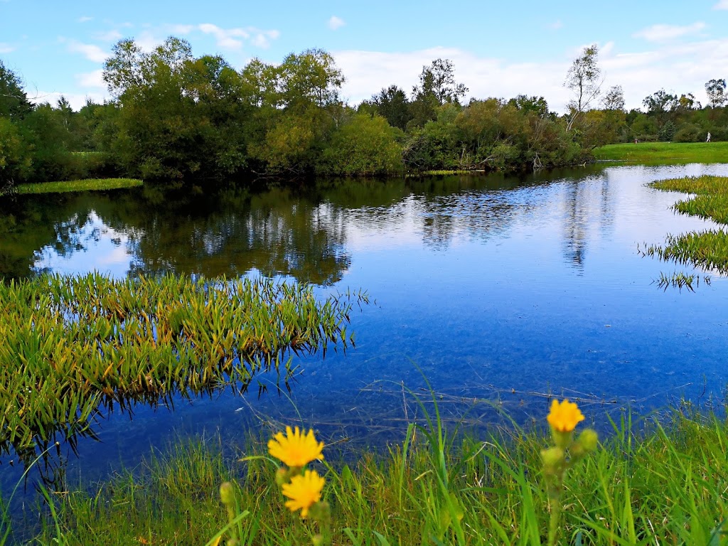 Blackwater Golf Course | 21889 ON-48, Mount Albert, ON L0G 1M0, Canada | Phone: (905) 473-5110