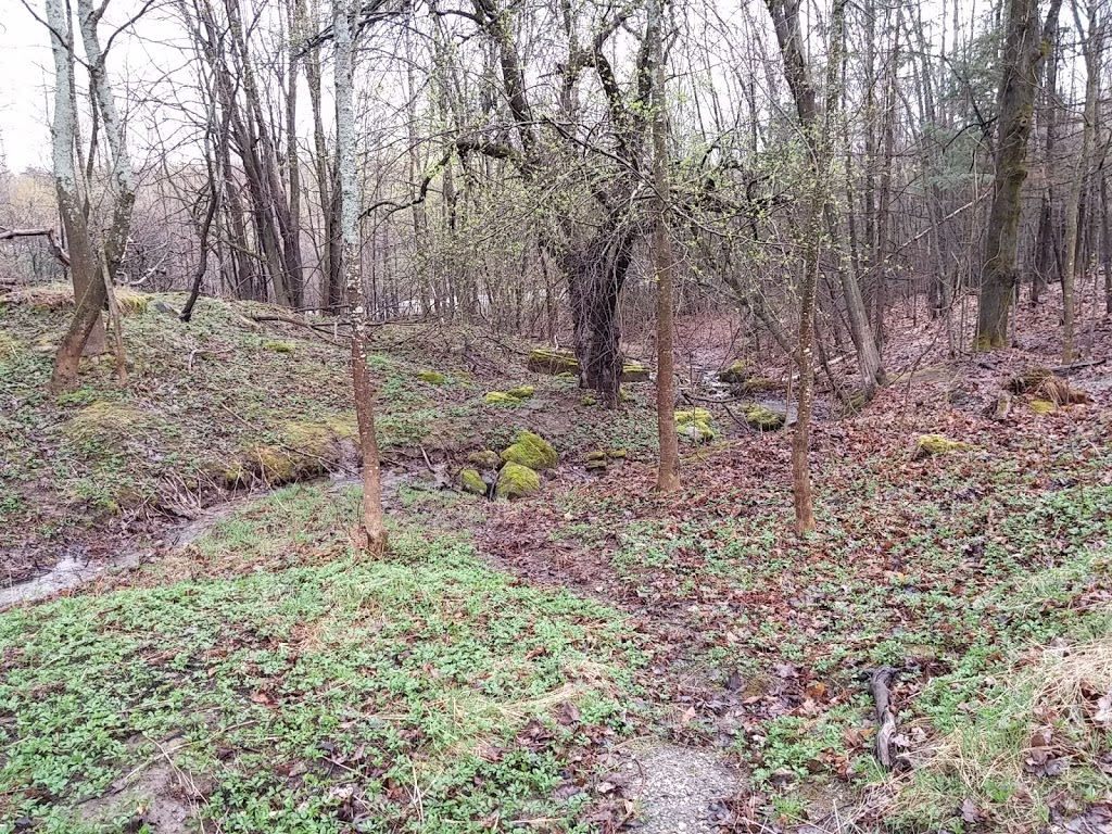 Parc du Mont-Bellevue - stationnement Dunant | 1875 Rue Dunant, Sherbrooke, QC J1H 6L5, Canada