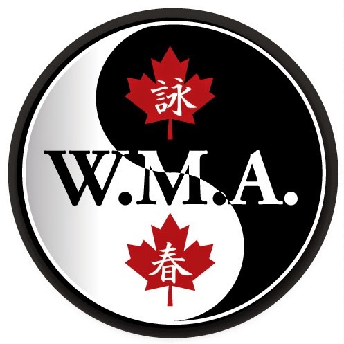 Wilson Martial Arts Family Fitness Centre | 205 Queen St S, Mississauga, ON L5M 1K7, Canada | Phone: (416) 564-0696