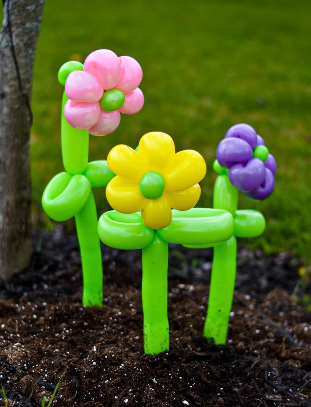 County Balloons | Carnrike Rd, Consecon, ON K0K 1T4, Canada | Phone: (613) 243-1002