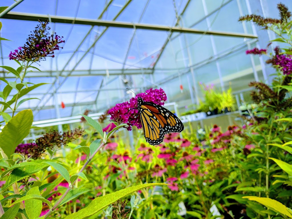 Windmill Garden Centre | 5206 ON-11, Oro-Medonte, ON L3V 8H2, Canada | Phone: (705) 323-9463
