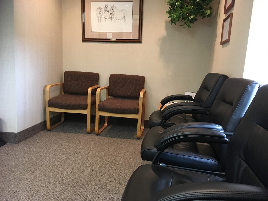 Stross Ernest E Dr | 261 Edinburgh Rd S, Guelph, ON N1G 2J6, Canada | Phone: (519) 836-4330