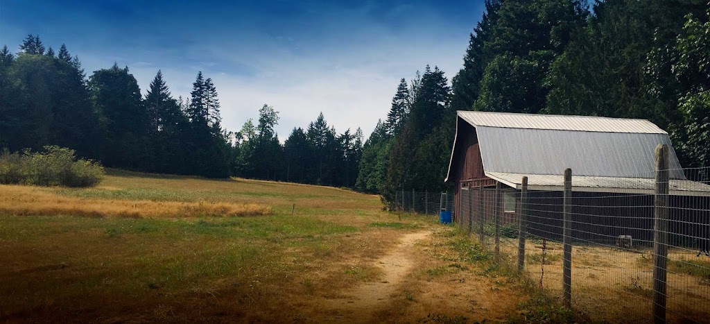 Glenora Creek Kennels | point of interest | 3265 Doupe Rd, Duncan, BC V9L 6P1, Canada | 2507484976 OR +1 250-748-4976