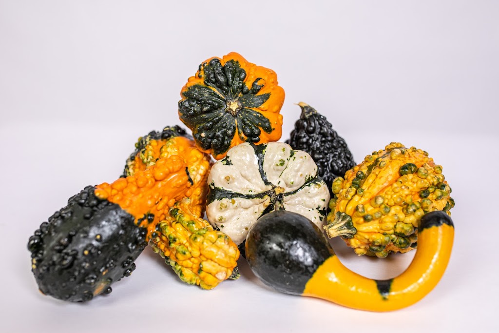 Butters Farms | 9232 Quaker Rd, St Thomas, ON N5P 3S6, Canada | Phone: (519) 765-3802