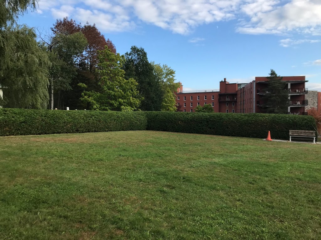 Taillage de haies Miguel Bedard | 3522 Chemin de North Hatley, Sherbrooke, QC J1N 0E5, Canada | Phone: (819) 437-8527