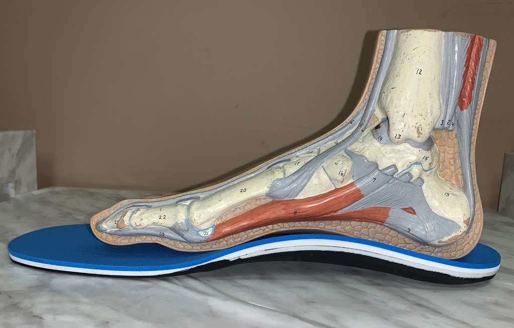 George OMahony Orthotics, The Foot Care Centre | 714 London Rd, Sarnia, ON N7T 4X6, Canada | Phone: (519) 337-0005