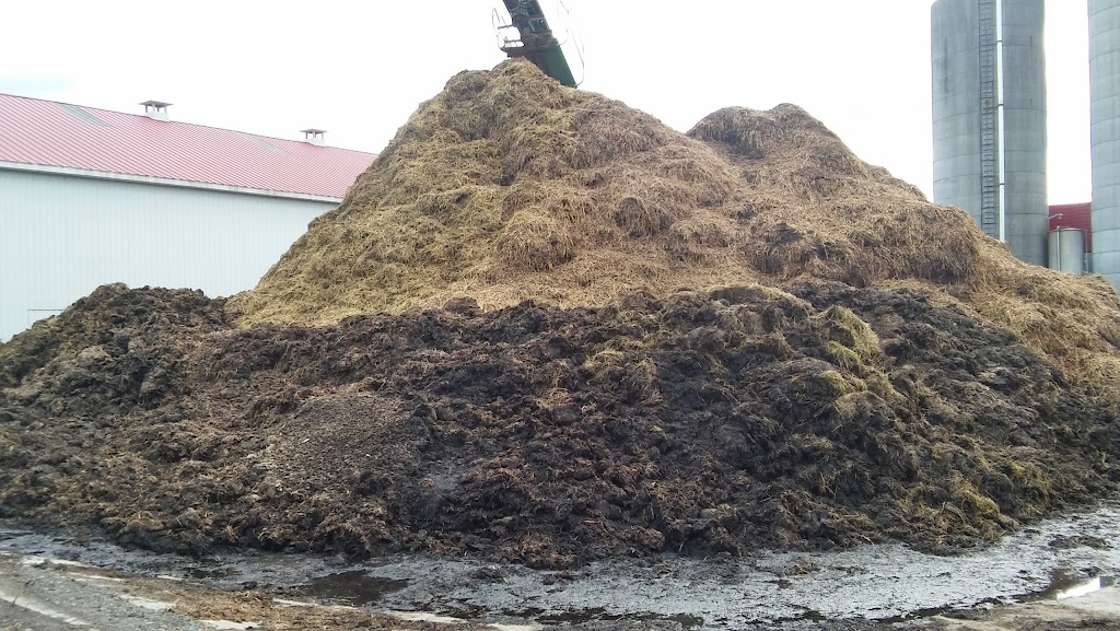 Ferme Boisblanc Holstein inc. | 651 Rte du Bois Blanc, Saint-Justin, QC J0K 2V0, Canada | Phone: (819) 227-2579