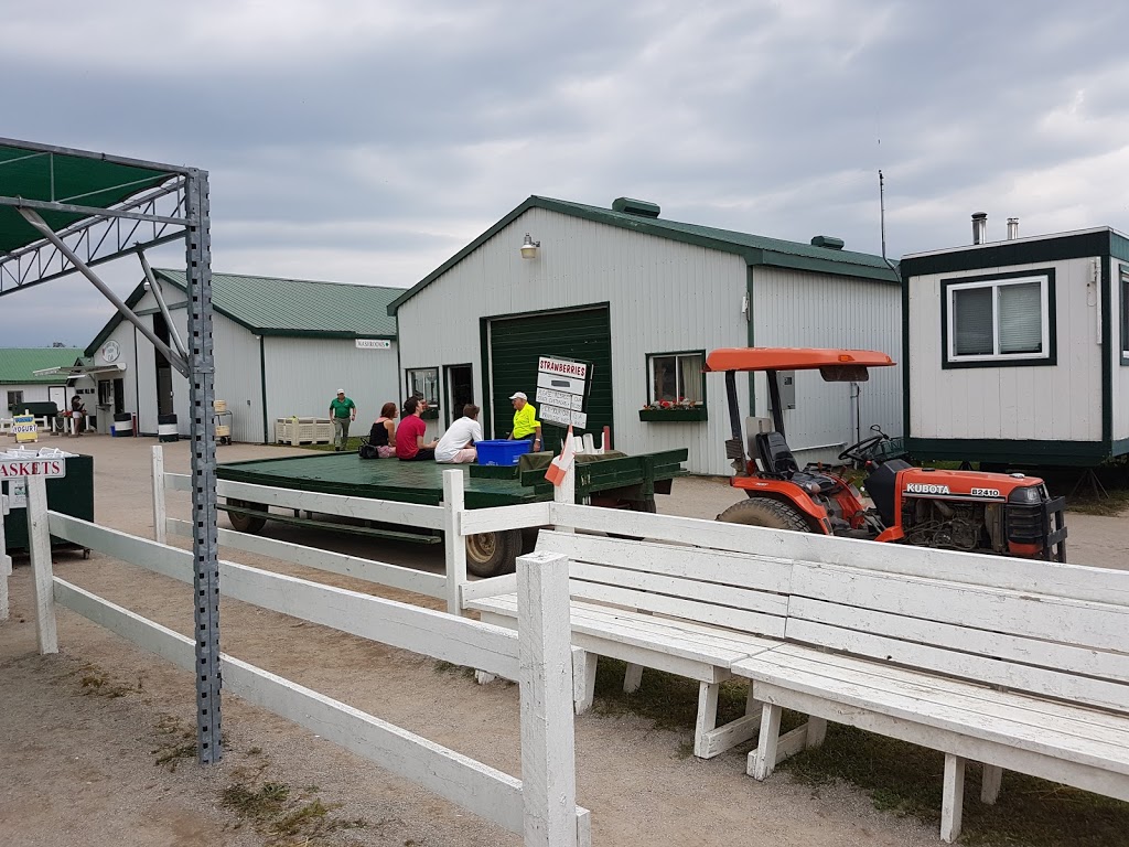 Barrie Hill Farms | 2935 Barrie Hill Rd, Springwater, ON L9X 1S8, Canada | Phone: (705) 728-0571