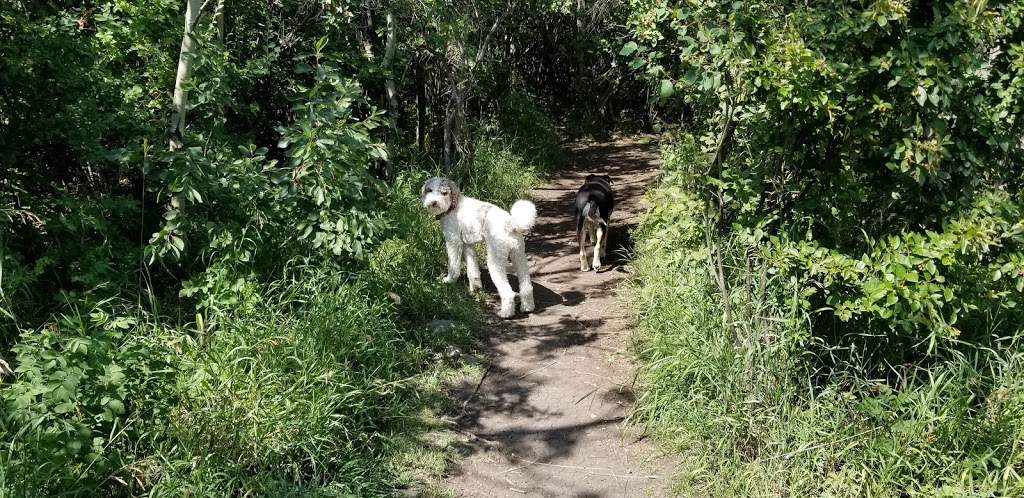 Off leash Park | Braeside, Calgary, AB T2W 1R9, Canada