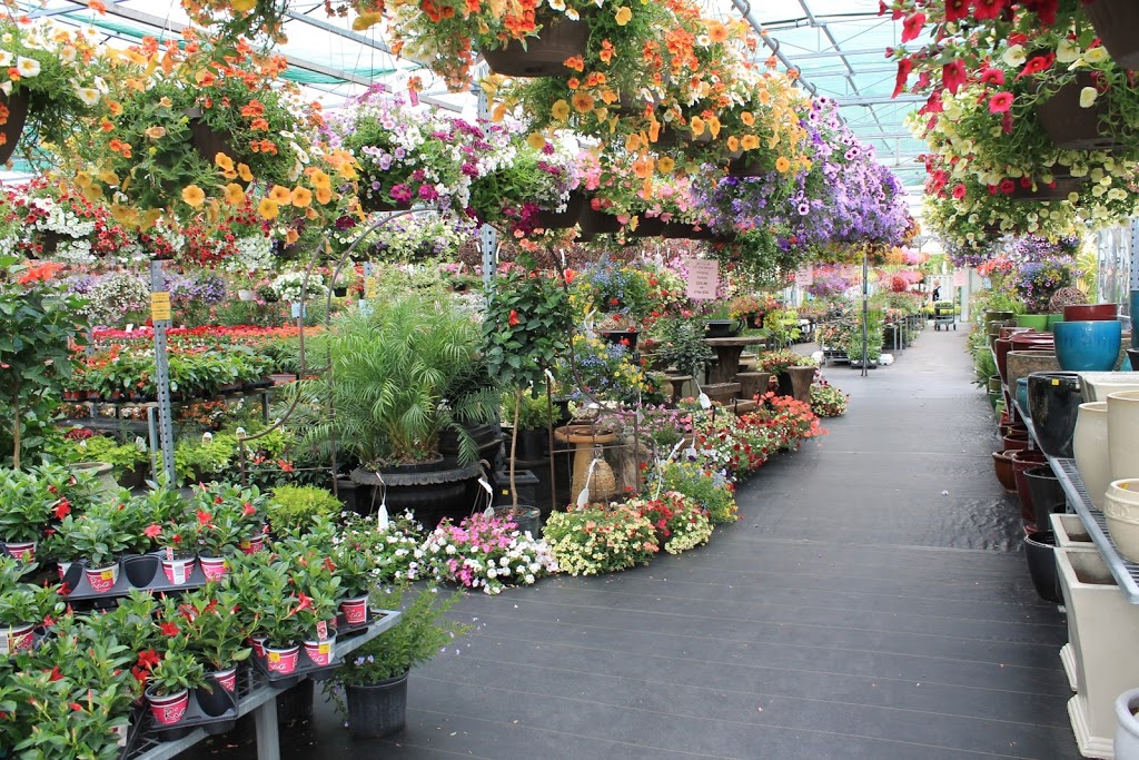 Coles Florist Inc. | 147 Main St E, Grimsby, ON L3M 4G5, Canada | Phone: (905) 945-2219