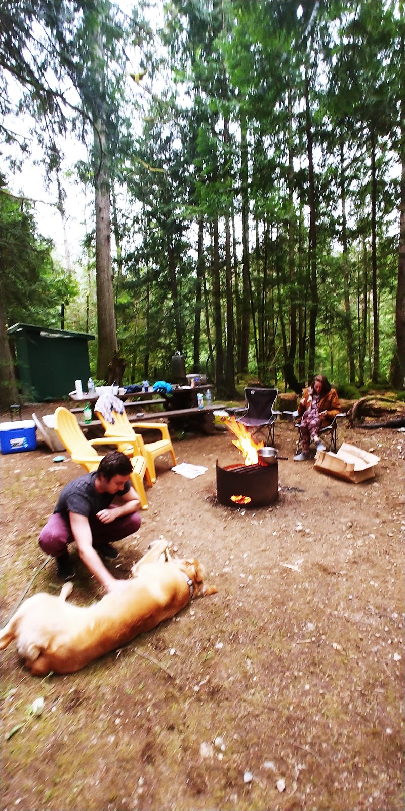Homesite Creek Campground | 9844 Sunshine Coast Hwy, Halfmoon Bay, BC V0N 1Y2, Canada | Phone: (604) 883-9307