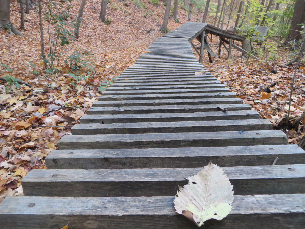 Hinder Property | Willowdale, Toronto, ON, Canada