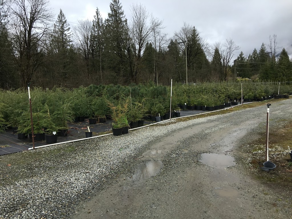 Peels Nurseries Ltd. | 35920 Pattison Rd, Fraser Valley F, BC V2V 4J1, Canada | Phone: (604) 820-7386