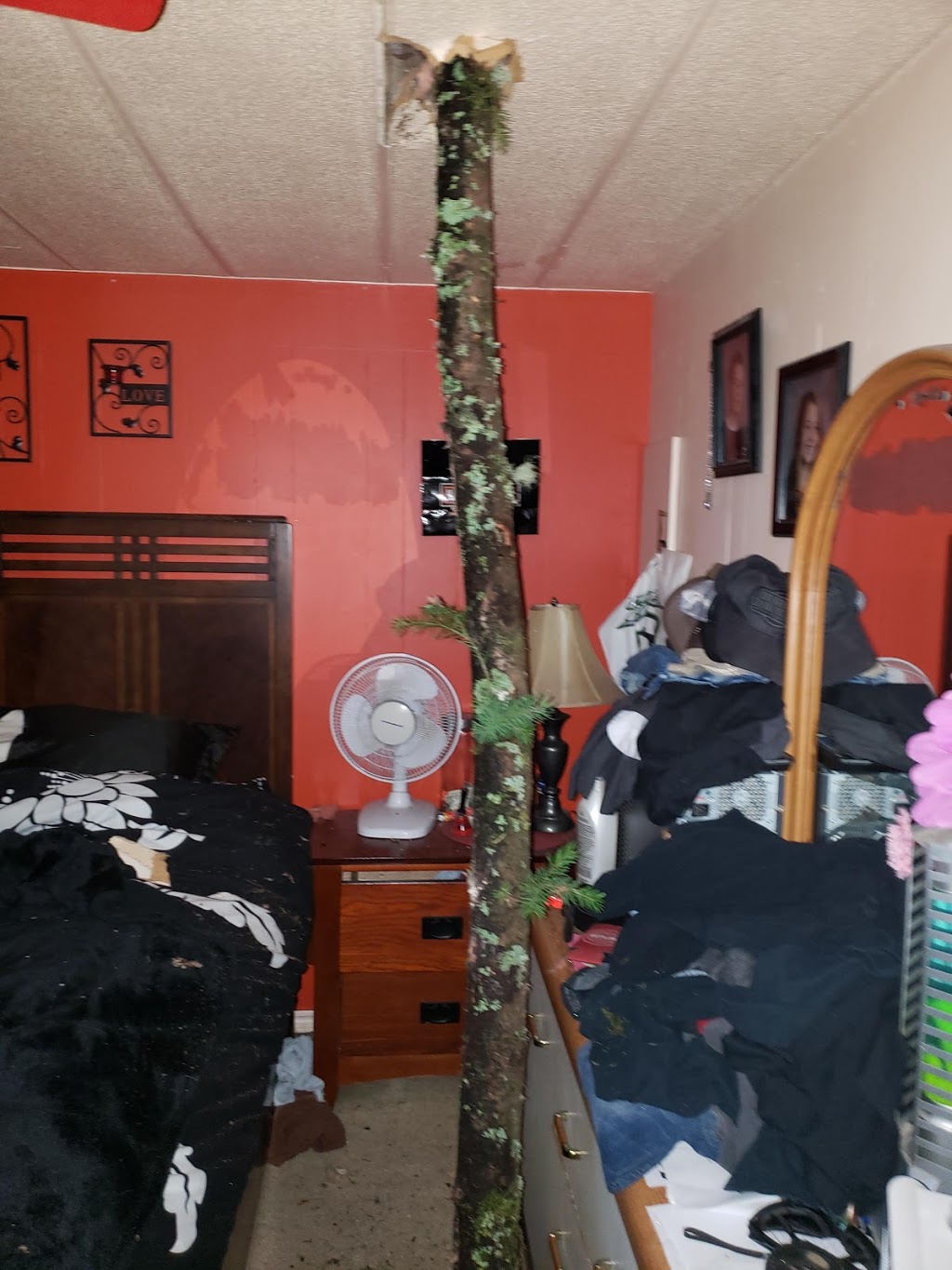 Timberland Mobile Home Park | 3560 Hallberg Rd, Ladysmith, BC V9G 1L4, Canada | Phone: (250) 245-3647