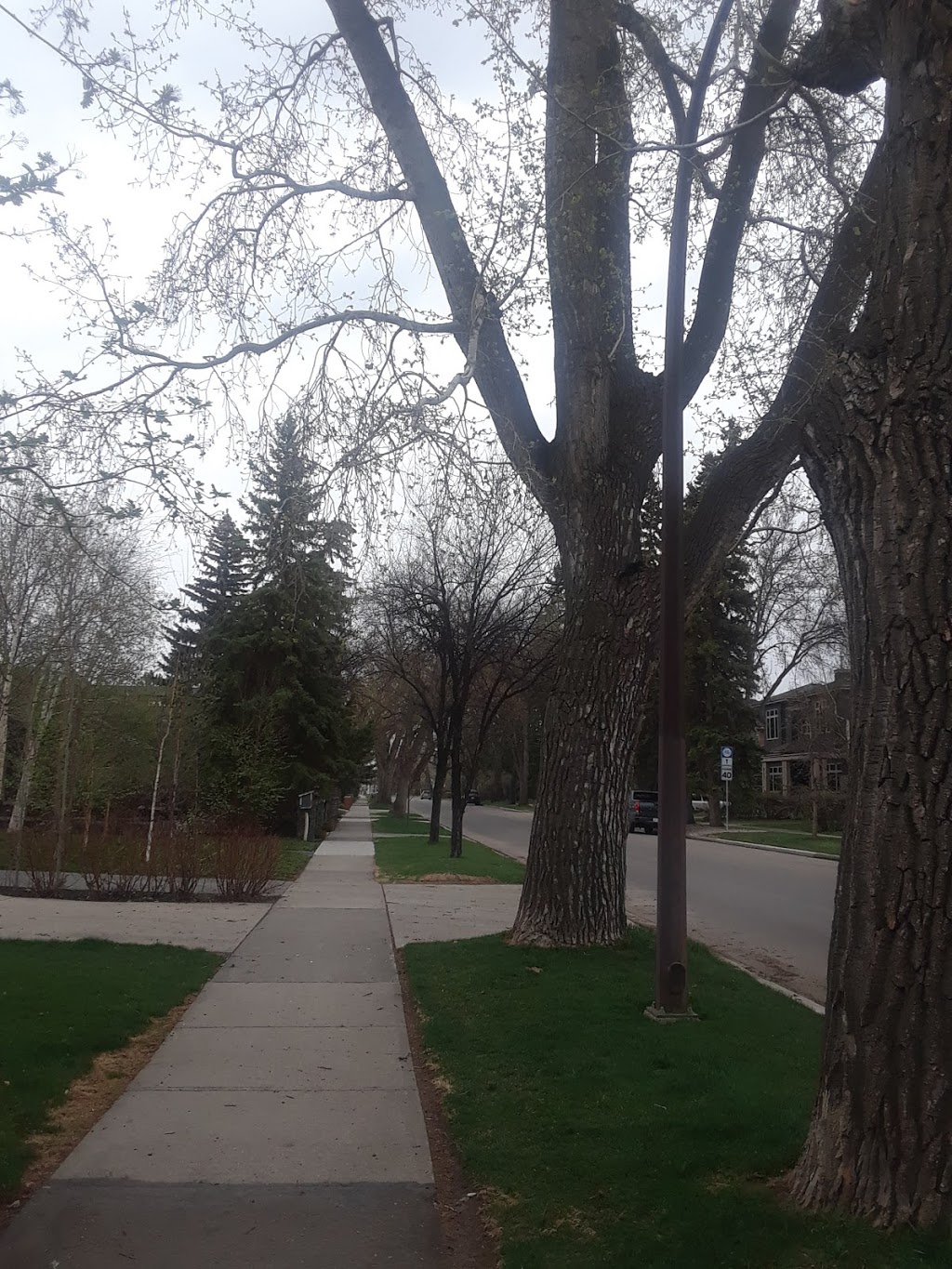 Riverdale Dog Park | 1334 Riverdale Ave SW, Calgary, AB T2S 0Y8, Canada
