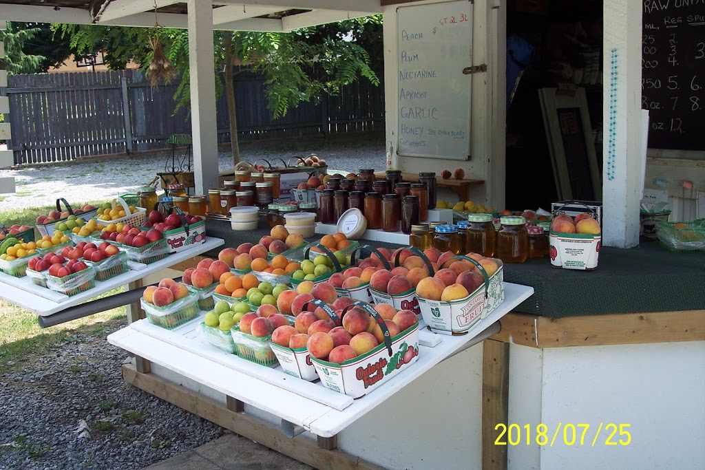 Fruit-Stand-on-Mountain | 6680 Mountain Rd, Niagara Falls, ON L2J 0B5, Canada | Phone: (905) 374-6342