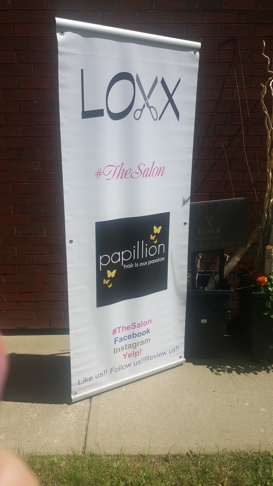 Papillion Hair Stylist | 161 Liberton Dr Unit 10, St. Albert, AB T8N 6A7, Canada | Phone: (780) 459-6110