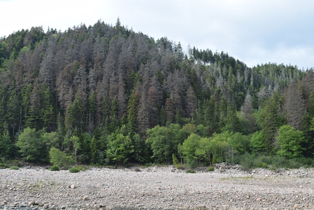 Big Salmon River Lookout | St. Martins, NB E5R, Canada | Phone: (866) 386-3987
