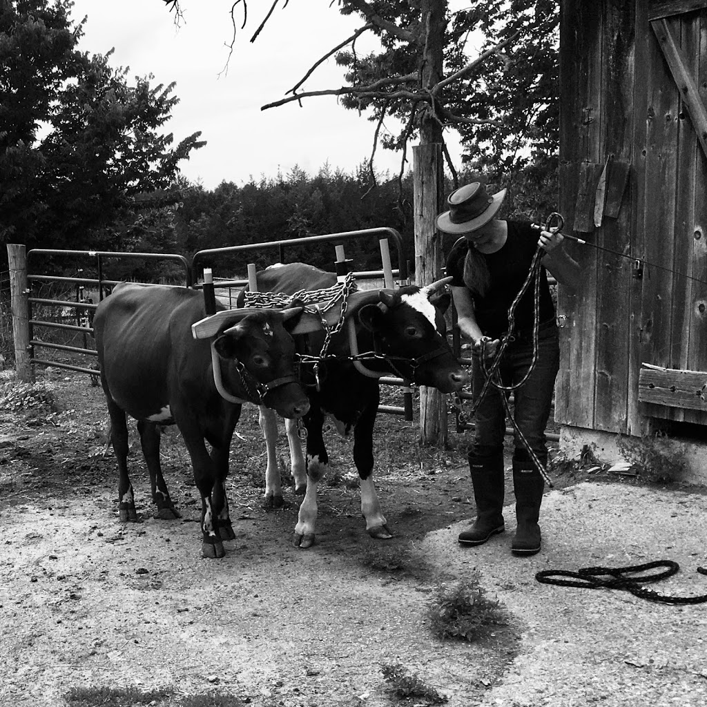 Plainfield Heritage Farm | 105 Shannon Rd, Plainfield, ON K0K 2V0, Canada | Phone: (613) 403-6050