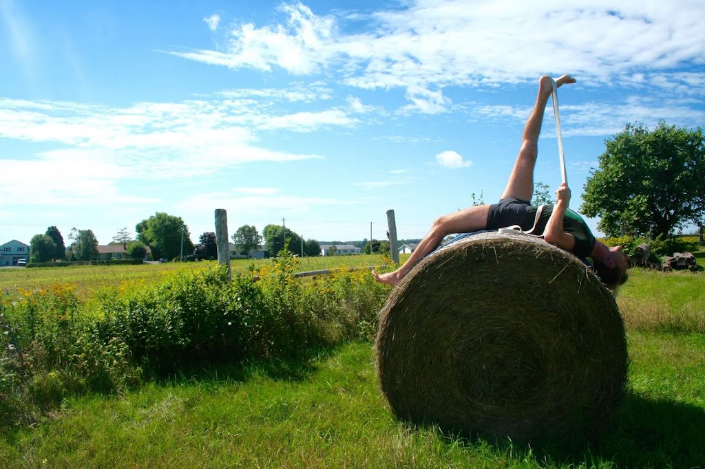 YogaGrove | 2235 N York River Rd, Warren Grove, PE C0A 1H5, Canada | Phone: (902) 566-3655