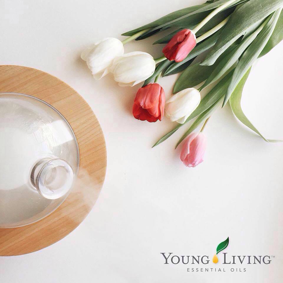 The Oil Tree | Saskatoon, SK S7L 5A7, Canada | Phone: (306) 370-3924