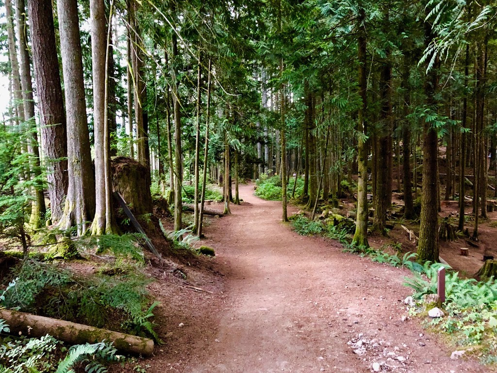 Cat Lake Recreation Site | Cheekye Forest Service Rd, Squamish, BC V8B 0P6, Canada