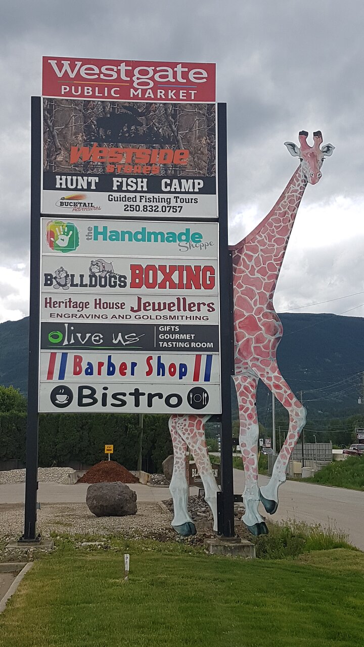 ThinkMonkey - Your Friendly Computer, Smartphone, Tablet Repair Company | 2090 10 Ave SW #110, Salmon Arm, BC V1E 0E1, Canada | Phone: (250) 463-1521