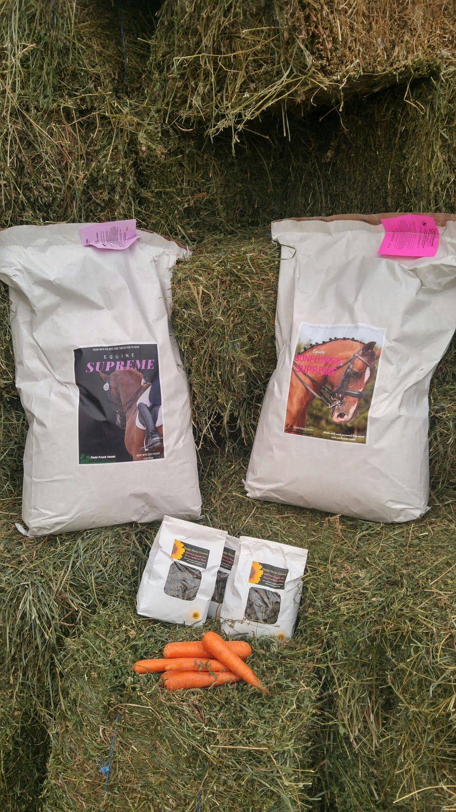Windy Field Farms | 253164 9 Line, Amaranth, ON L9W 0H1, Canada | Phone: (519) 216-3657
